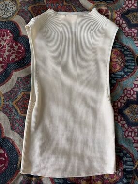 NWOT &Other Stories Stockholm Atelier Sleeveless Turtleneck Mock Neck Top S